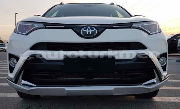 Buy Import Toyota RAV4 White Car in Import - Dubai in Ahal Buy Import Toyota RAV4 White Car in Import - Dubai in Ahal