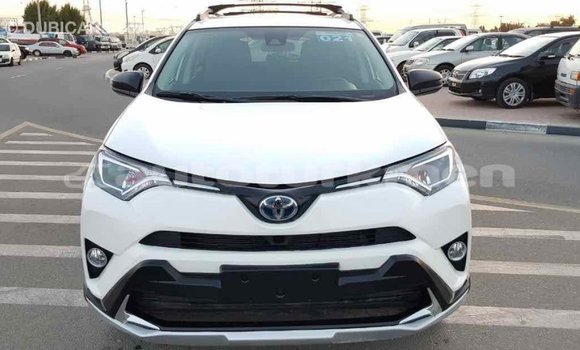 Buy Import Toyota RAV4 White Car in Import - Dubai in Ahal Buy Import Toyota RAV4 White Car in Import - Dubai in Ahal