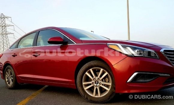 Buy Import Hyundai Sonata Red Car in Import - Dubai in Ahal Buy Import Hyundai Sonata Red Car in Import - Dubai in Ahal