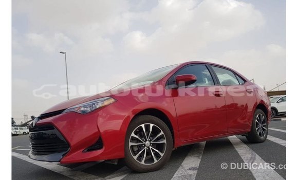 Buy Import Toyota Corolla Red Car in Import - Dubai in Ahal Buy Import Toyota Corolla Red Car in Import - Dubai in Ahal