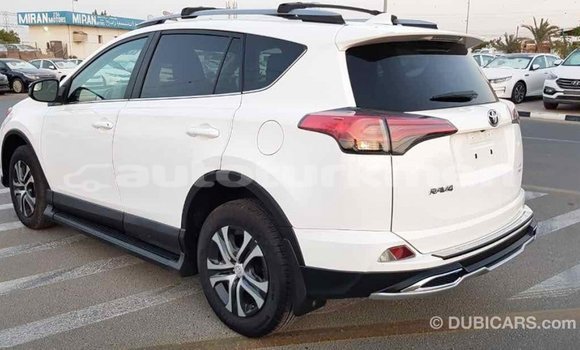Buy Import Toyota RAV4 White Car in Import - Dubai in Ahal Buy Import Toyota RAV4 White Car in Import - Dubai in Ahal