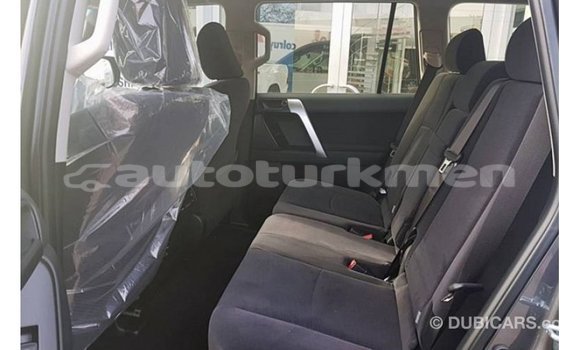 Buy Import Toyota Prado Black Car in Import - Dubai in Ahal Buy Import Toyota Prado Black Car in Import - Dubai in Ahal