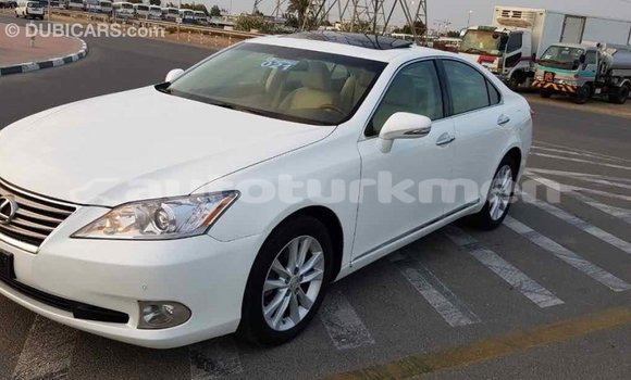 Buy Import Lexus ES White Car in Import - Dubai in Ahal Buy Import Lexus ES White Car in Import - Dubai in Ahal