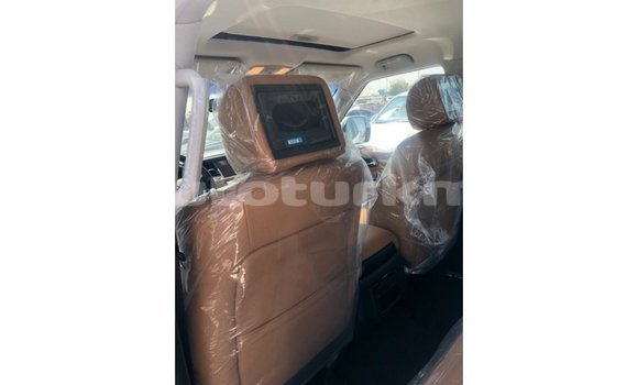 Buy Import Nissan Patrol White Car in Import - Dubai in Ahal Buy Import Nissan Patrol White Car in Import - Dubai in Ahal