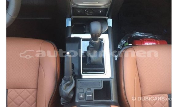 Buy Import Toyota Prado Black Car in Import - Dubai in Ahal Buy Import Toyota Prado Black Car in Import - Dubai in Ahal