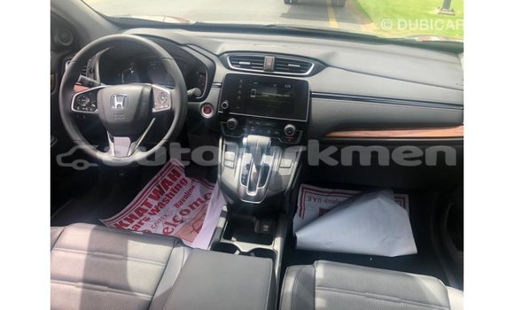 Buy Import Honda C Other Bike in Import - Dubai in Ahal Buy Import Honda C Other Bike in Import - Dubai in Ahal