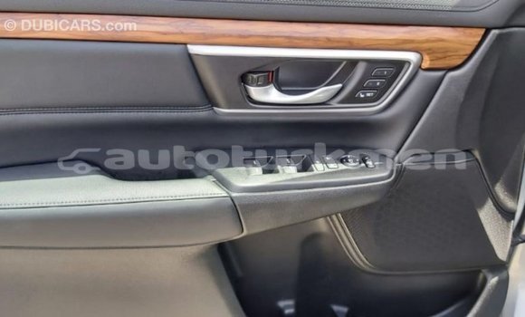 Buy Import Honda C Other Bike in Import - Dubai in Ahal Buy Import Honda C Other Bike in Import - Dubai in Ahal