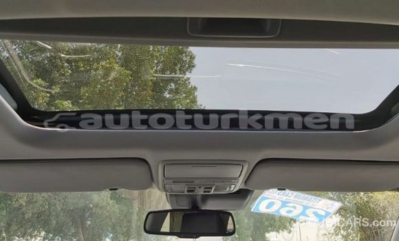 Buy Import Honda C Other Bike in Import - Dubai in Ahal Buy Import Honda C Other Bike in Import - Dubai in Ahal