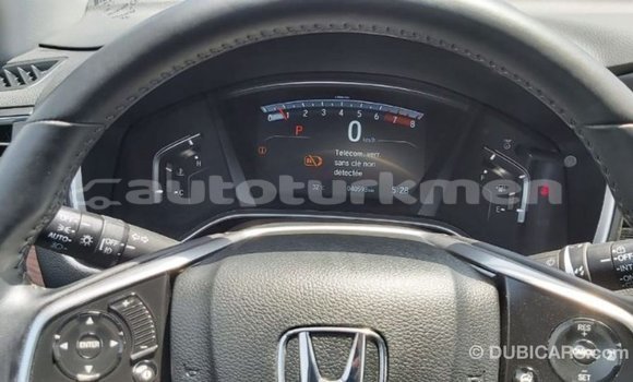 Buy Import Honda C Other Bike in Import - Dubai in Ahal Buy Import Honda C Other Bike in Import - Dubai in Ahal