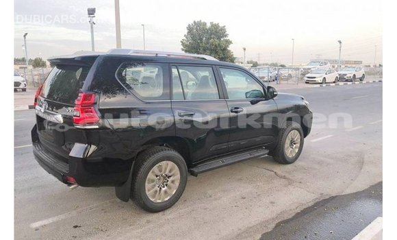 Buy Import Toyota Prado Black Car in Import - Dubai in Ahal Buy Import Toyota Prado Black Car in Import - Dubai in Ahal