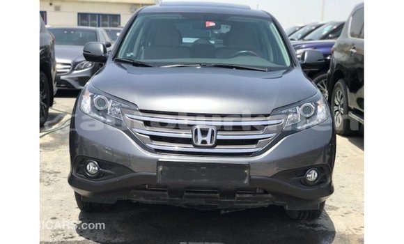 Buy Import Honda C Other Bike in Import - Dubai in Ahal Buy Import Honda C Other Bike in Import - Dubai in Ahal