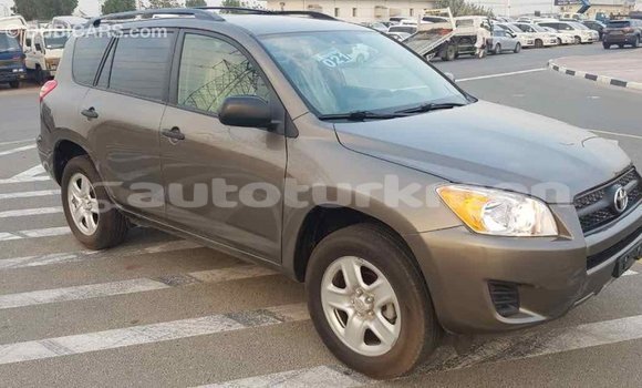 Buy Import Toyota 4Runner Brown Car in Import - Dubai in Ahal Buy Import Toyota 4Runner Brown Car in Import - Dubai in Ahal