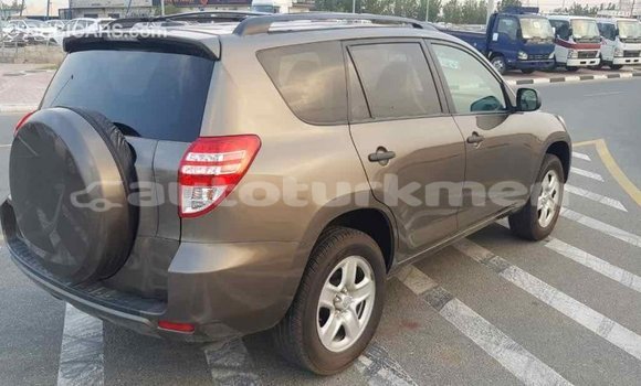Buy Import Toyota 4Runner Brown Car in Import - Dubai in Ahal Buy Import Toyota 4Runner Brown Car in Import - Dubai in Ahal
