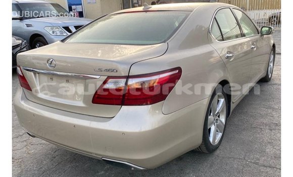 Buy Import Lexus LS Other Car in Import - Dubai in Ahal Buy Import Lexus LS Other Car in Import - Dubai in Ahal
