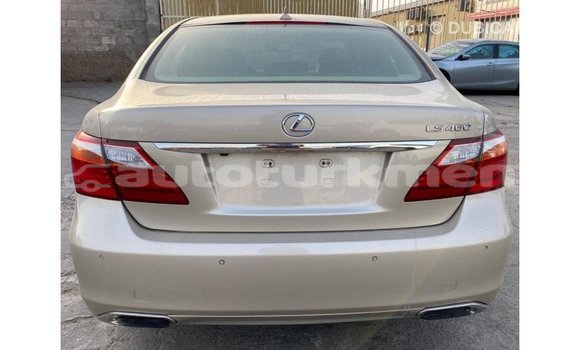 Buy Import Lexus LS Other Car in Import - Dubai in Ahal Buy Import Lexus LS Other Car in Import - Dubai in Ahal