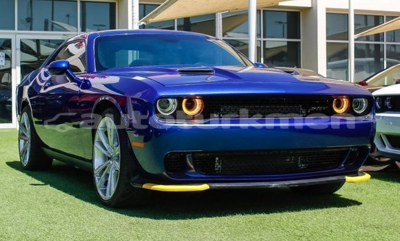 Buy Import Dodge Challenger Blue Car in Import - Dubai in Ahal