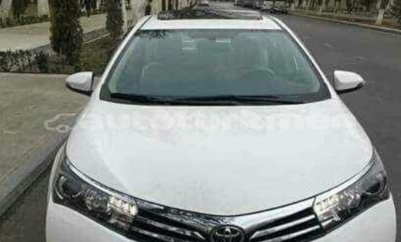 Buy Used Toyota Corolla White Car in Asgabat in Asgabat