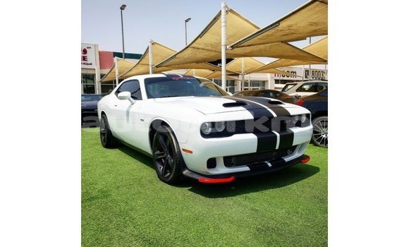Buy Import Dodge Challenger White Car in Import - Dubai in Ahal