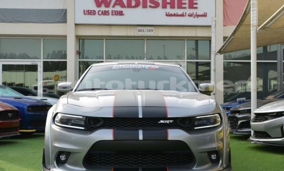 Buy Import Dodge Charger Other Car in Import - Dubai in Ahal