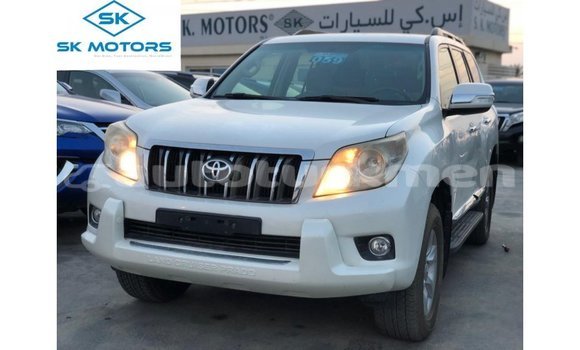 Buy Import Toyota Prado White Car in Import - Dubai in Ahal