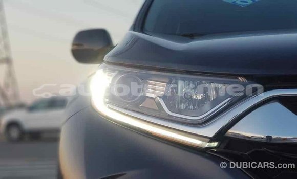 Buy Import Honda C Other Bike in Import - Dubai in Ahal Buy Import Honda C Other Bike in Import - Dubai in Ahal