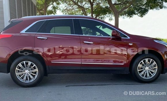 Buy Import Cadillac XT5 Red Car in Import - Dubai in Ahal Buy Import Cadillac XT5 Red Car in Import - Dubai in Ahal