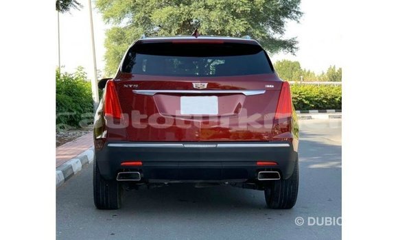 Buy Import Cadillac XT5 Red Car in Import - Dubai in Ahal Buy Import Cadillac XT5 Red Car in Import - Dubai in Ahal