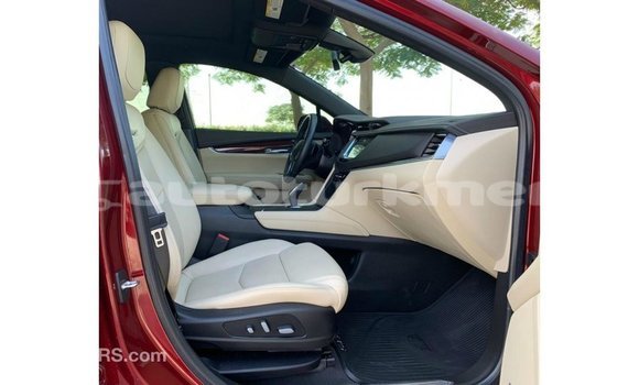 Buy Import Cadillac XT5 Red Car in Import - Dubai in Ahal Buy Import Cadillac XT5 Red Car in Import - Dubai in Ahal