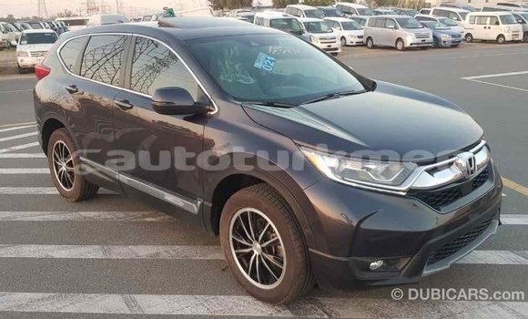 Buy Import Honda C Other Bike in Import - Dubai in Ahal Buy Import Honda C Other Bike in Import - Dubai in Ahal