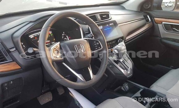 Buy Import Honda C Other Bike in Import - Dubai in Ahal Buy Import Honda C Other Bike in Import - Dubai in Ahal