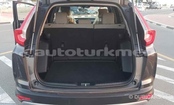 Buy Import Honda C Other Bike in Import - Dubai in Ahal Buy Import Honda C Other Bike in Import - Dubai in Ahal