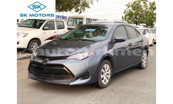 Buy Import Toyota Corolla Other Car in Import - Dubai in Ahal Buy Import Toyota Corolla Other Car in Import - Dubai in Ahal