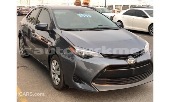 Buy Import Toyota Corolla Other Car in Import - Dubai in Ahal Buy Import Toyota Corolla Other Car in Import - Dubai in Ahal