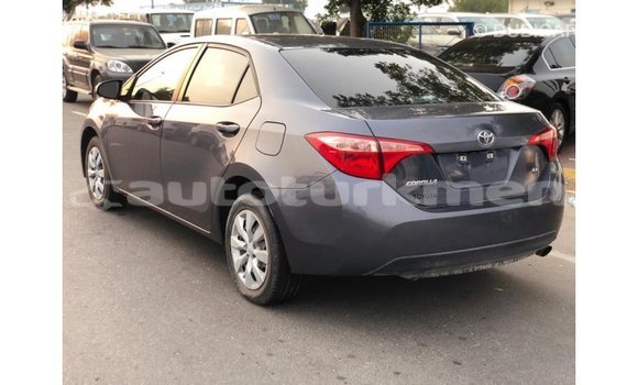 Buy Import Toyota Corolla Other Car in Import - Dubai in Ahal Buy Import Toyota Corolla Other Car in Import - Dubai in Ahal