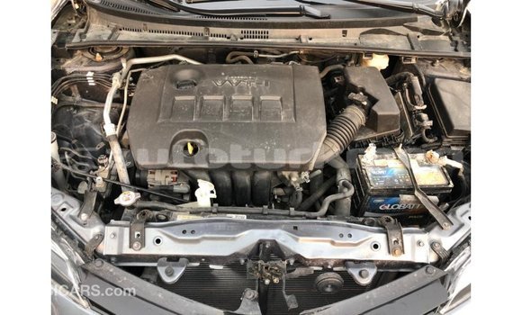 Buy Import Toyota Corolla Other Car in Import - Dubai in Ahal Buy Import Toyota Corolla Other Car in Import - Dubai in Ahal