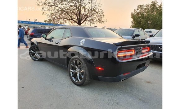 Buy Import Dodge Challenger Black Car in Import - Dubai in Ahal Buy Import Dodge Challenger Black Car in Import - Dubai in Ahal