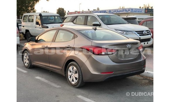 Buy Import Hyundai Elantra Brown Car in Import - Dubai in Ahal Buy Import Hyundai Elantra Brown Car in Import - Dubai in Ahal