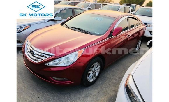 Buy Import Hyundai Sonata Red Car in Import - Dubai in Ahal