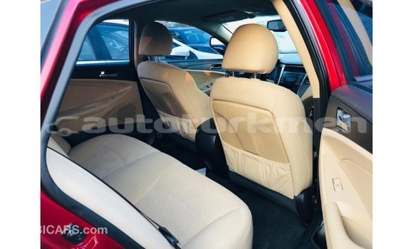 Buy Import Hyundai Sonata Red Car in Import - Dubai in Ahal Buy Import Hyundai Sonata Red Car in Import - Dubai in Ahal
