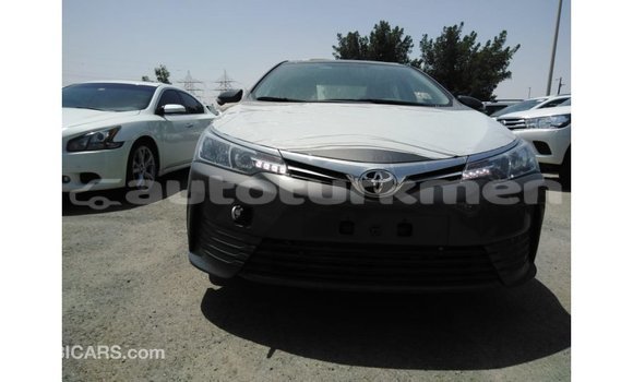 Buy Import Toyota Corolla Other Car in Import - Dubai in Ahal Buy Import Toyota Corolla Other Car in Import - Dubai in Ahal