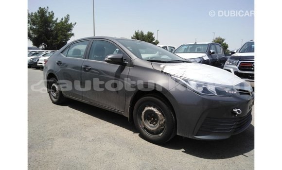 Buy Import Toyota Corolla Other Car in Import - Dubai in Ahal Buy Import Toyota Corolla Other Car in Import - Dubai in Ahal