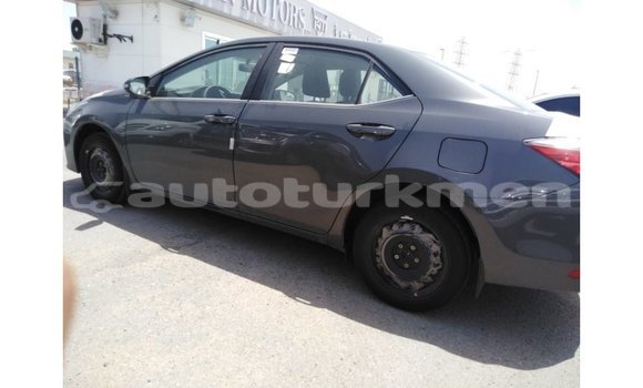 Buy Import Toyota Corolla Other Car in Import - Dubai in Ahal Buy Import Toyota Corolla Other Car in Import - Dubai in Ahal