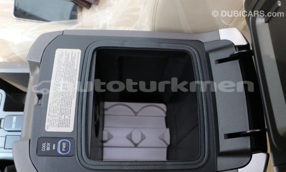 Buy Import Toyota Prado Black Car in Import - Dubai in Ahal Buy Import Toyota Prado Black Car in Import - Dubai in Ahal