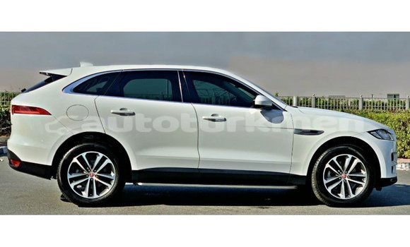 Buy Import Jaguar F-Pace White Car in Import - Dubai in Ahal Buy Import Jaguar F-Pace White Car in Import - Dubai in Ahal