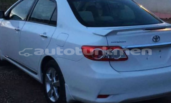 Buy Used Toyota Corolla White Car in Asgabat in Asgabat