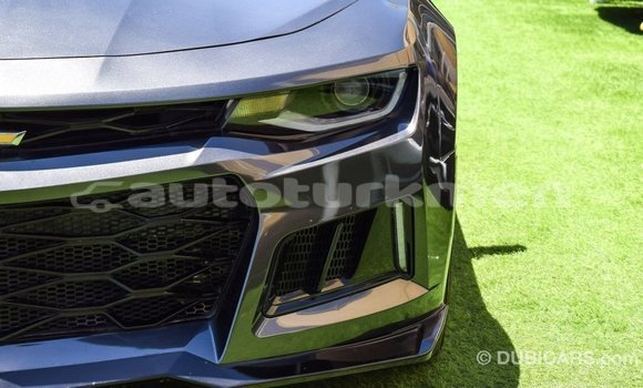 Buy Import Chevrolet Camaro Other Car in Import - Dubai in Ahal Buy Import Chevrolet Camaro Other Car in Import - Dubai in Ahal