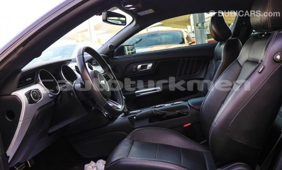 Buy Import Ford Mustang Black Car in Import - Dubai in Ahal Buy Import Ford Mustang Black Car in Import - Dubai in Ahal