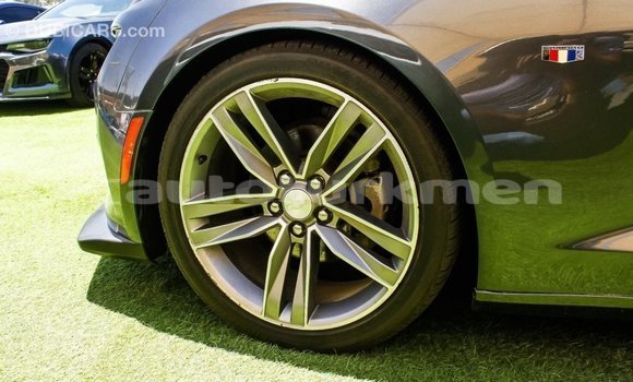 Buy Import Chevrolet Camaro Other Car in Import - Dubai in Ahal Buy Import Chevrolet Camaro Other Car in Import - Dubai in Ahal