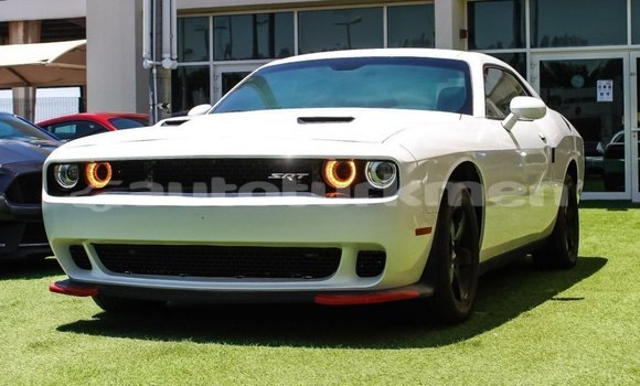 Buy Import Dodge Challenger White Car in Import - Dubai in Ahal