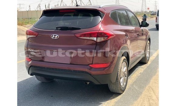 Buy Import Hyundai Tucson Red Car in Import - Dubai in Ahal Buy Import Hyundai Tucson Red Car in Import - Dubai in Ahal